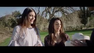 DJI Goggles  alternative version