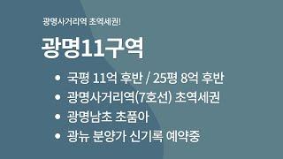 광명11구역: 광명뉴타운 내가 왕이 될 상인가?