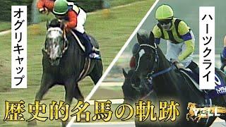 JRA70周年特番【YELL～馬とカケルミライ～】①歴史的名馬の軌跡