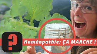  L'HOMÉOPATHIE, POURQUOI ÇA MARCHE • Fake? #8 • part.1