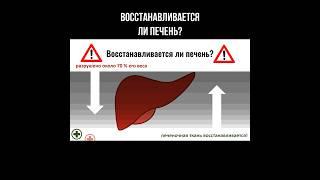 Восстанавливается ли печень? #печень #циррозпечени #цирроз #печеньболезнь