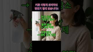 섬유유연제를 물에 희석해 분무기로 뿌리면 정전기가 줄어 먼지가 덜 달라붙습니다.