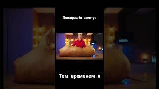 Мем #пельмени  #vanzai #свинтус