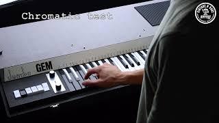 GEM Jumbo Combo Organ | Vintage Analog Italian Synth 37 Key | Riffers Brief Demo