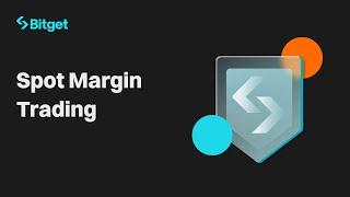 Discover Spot Margin Trading on Bitget