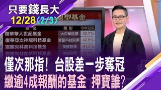 別小瞧台股 今年奪下亞軍!逾4成績效股躍龍騰 今年獲利王離我們很近?基金經理人慧眼獨具?【20241228(第2/3段)只要錢長大*鄭明娟(馮志源)】