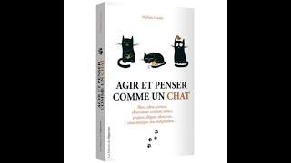 AGIR ET PENSER COMME UN CHAT : chapitre de la CONFIANCE