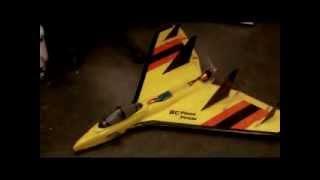 RC Plane Pirate Hex Jet on 5 Cell Fast Delta