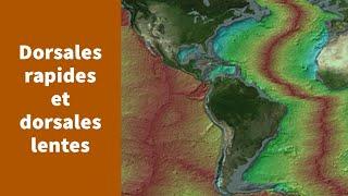 Deux types de dorsales : les dorsales rapides et les dorsales lentes - Première Spécialité SVT