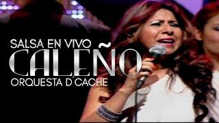 Francia Elena y Cali Salsa Big Band - Caleño | Salsa En Vivo