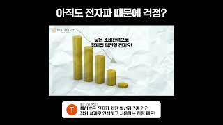 트라움하프트 릴렉스 워셔블 전기요 [니테스]