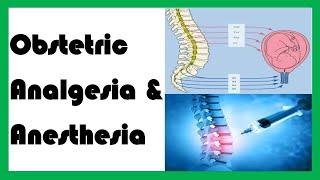 Obstetric Analgesia and Anesthesia / Pain Relief in Labour