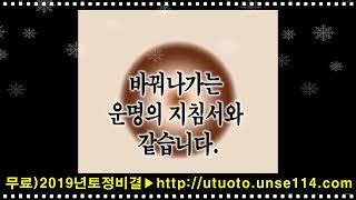 2024년 무료토정비결풀이 갑진년 공짜토정비결무료보기 you.sajuhelp.com