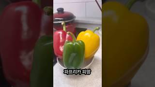 다이어트 고구마샐러드빵 #다이어트 #고구마 #샐러드 #소개팅