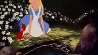 Alice in wonderland Alice's Reflection