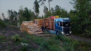 Simple reversing.  Loading birch, pine and spruce pulpwood