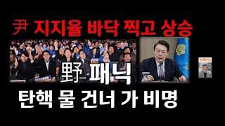 尹 기자회견 통했다/ 바닥 찍고 무서운 상승세/탄핵 망했다!/ 누리pd-tv