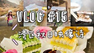 【VLOG #15】小紫的治愈时光 | Filoli花园的古董钢琴 | 遗世独立的仙境 | 银杏大道 | 感恩节礼物 | Diptyque走马灯蜡烛