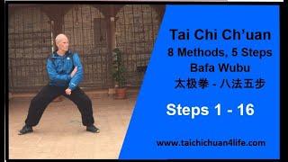 Bafa Wubu of Tai Chi (Eight Methods and Five Steps)