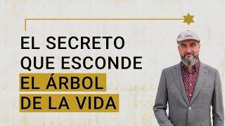  El Significado Cabalístico Del Árbol De La Vida {#Kabbalah}