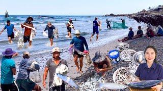 Mùa Cá Đối Chạy Vịnh Cổ Thạch | Bún Cá Ngừ Kho Vợ Minh Nấu