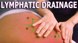 Lymphatic Drainage Benefits | The Importance Of Lymphatic System Health