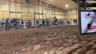 F20 Alakazam - Julian/Buck/D&H Cattle