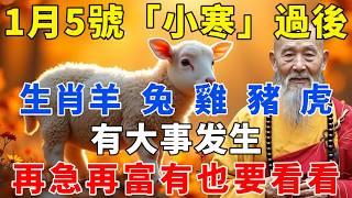 1月5號「小寒」過後，生肖羊、兔、雞、豬、虎有大事發生，再急再富有也要看看！【禪語明心】#生肖 #運勢 #風水 #財運  #生肖運勢 #生肖運程