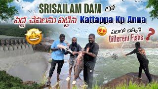SRISAILAM DAM లో పెద్ద చేపలను పట్టిన KATTAPPA & KP ANNA వలలో చిక్కిన DIFFERENT FISHS @pareshanboys