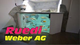 Ruedi‘s 20000 Liter Indoor Koi Teich mit traumhaft schönen Design und perfektem Filter Setup!