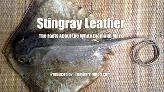 Stingray Leather - the Facts About the White Diamond