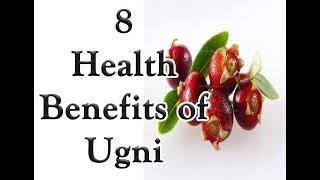 8 Health Benefits of Ugni || guava constipation ||what is the healthiest fruit in the world