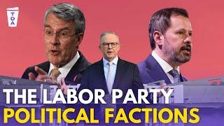 Why is the Labor Party fighting? | The Daily Aus