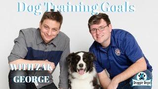 Dog Training Goals with Zak George Dog Training Revolution