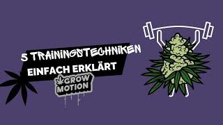 5 Trainingstechniken EINFACH ERKLÄRT | Homegrow