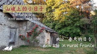 #02  鄉村生活, 我有玫瑰,蘋果樹和4隻小雞｜就地挖洞來烤肉｜My rural life in France, I got 4 chickens as pets!