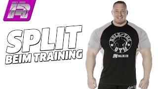 Der richtige Trainings-Split bei Fitness und Bodybuilding