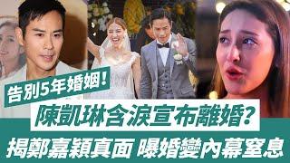 轟動！ 陳凱琳宣布離婚？ 含淚告別5年婚姻！ 老公鄭嘉穎婚後不知收斂，睡表妹搞嫩模多次警告無果，哭訴：勉強下去是折磨！【三言两娱】#陳凱琳#鄭嘉穎