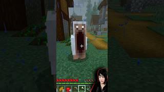 Cursed Minecraft (terrifying)