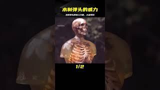 木制彈頭到底有多瘋狂？結果超乎想象 #武器 #枪支 #防弹 #子弹 #射击