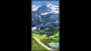 Стих со смыслом.  Жизненная поэзия.  Потрясающий стих.  Мы думаем, что жизнь сложна... #shorts