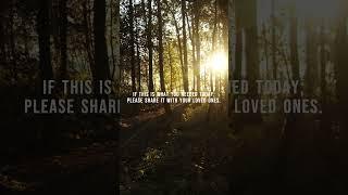 Words from above - 06 #shorts #short