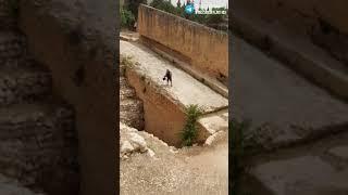 Камни, которые не должны существовать! Баальбек, Трилитон