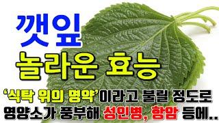 깻잎의 놀라운 효능 8가지 & 부작용 / "비타민과 미네랄이 가득한 깻잎의 매력"