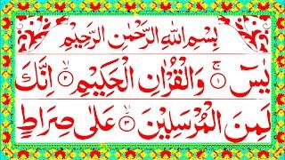 Surah Yaseen | Yasin Sharif | Surah Yaseen With Arabic HD text | Surah Yaseen