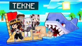 BAYDOKTOR VS MİNECRAFT #253    Minecraft