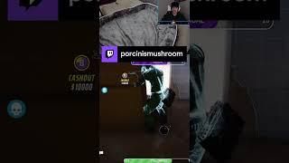 Bingo Bango Bongo Baby! | DOG CAM... where did she go? | porcinismushroom on #Twitch