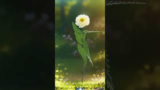 @Nature ke diwane #ytshorts  #trending #viralshorts #utube