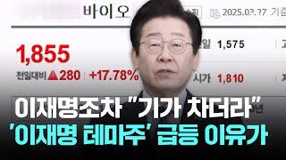 이재명조차 "기가 차더라"…'이재명 테마주' 급등 이유가 / JTBC 뉴스룸