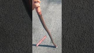 Handmade walking stick #shortsfeed #viralvideo #outdoors #trending #fyp #walkingsticks